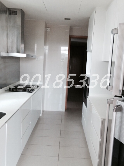 Park Infinia At Wee Nam (D11), Condominium #56248662